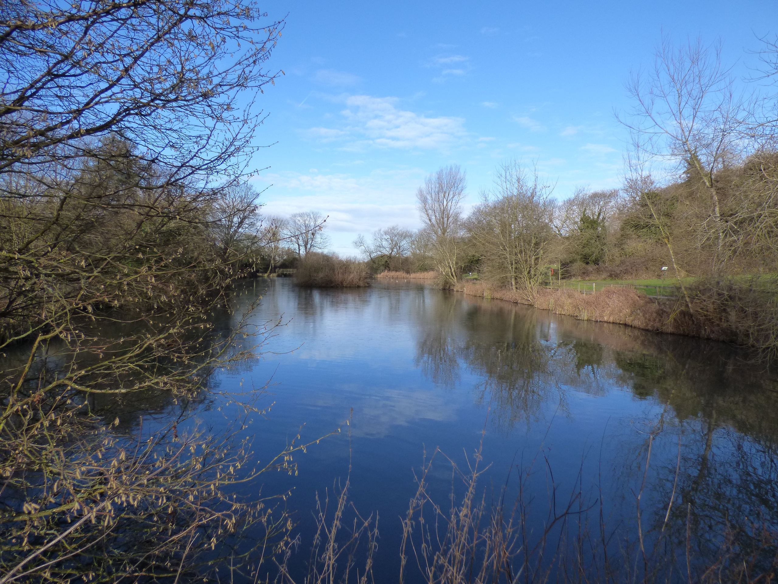 Jubilee Lake Water quality issue Royal Wootton Bassett Town Council