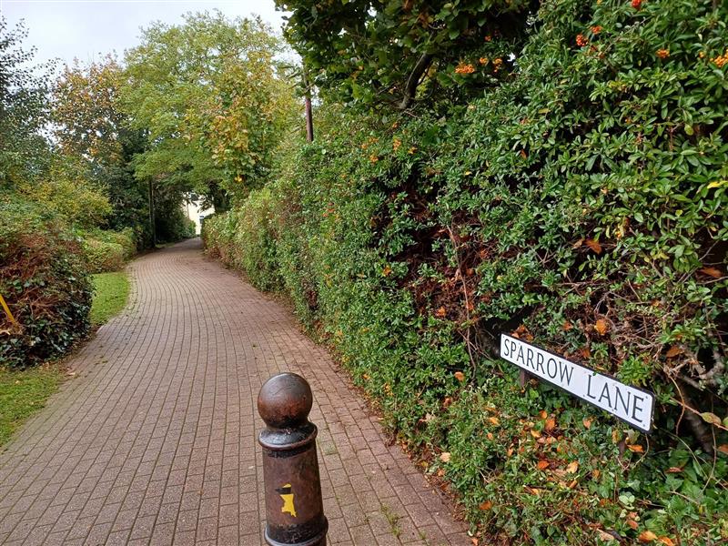 Photograph taken of sparrow lane from Tanners Close