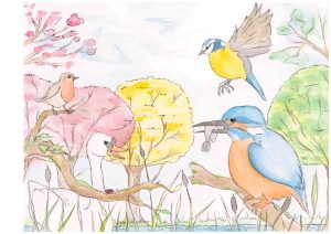 3rd Prize Winning Competition Entry